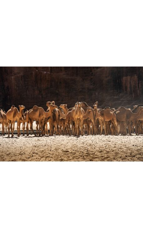 Tchad Guelta d'Archei 05 - Achat photographie d'art en édition limitée